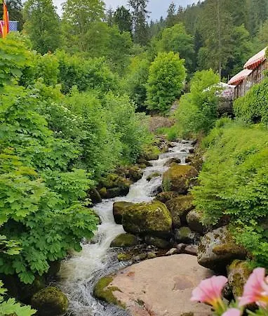 My Zittauer Strasse 7 * 菲林根-施文宁根